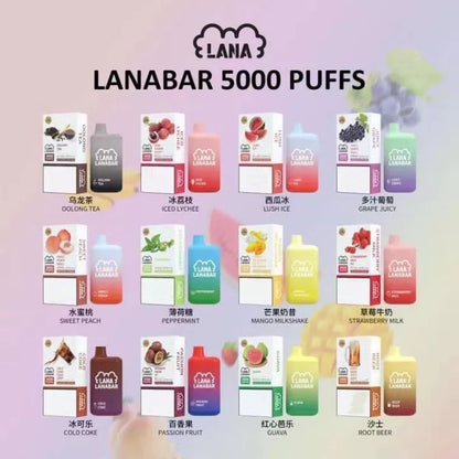 LANA拋棄式- LANA5000口一次性(3.0%) 13ml容量 可充電Type-C型