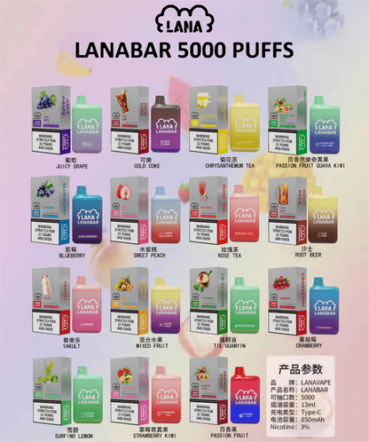 LANA拋棄式- LANA5000口一次性(3.0%) 13ml容量 可充電Type-C型